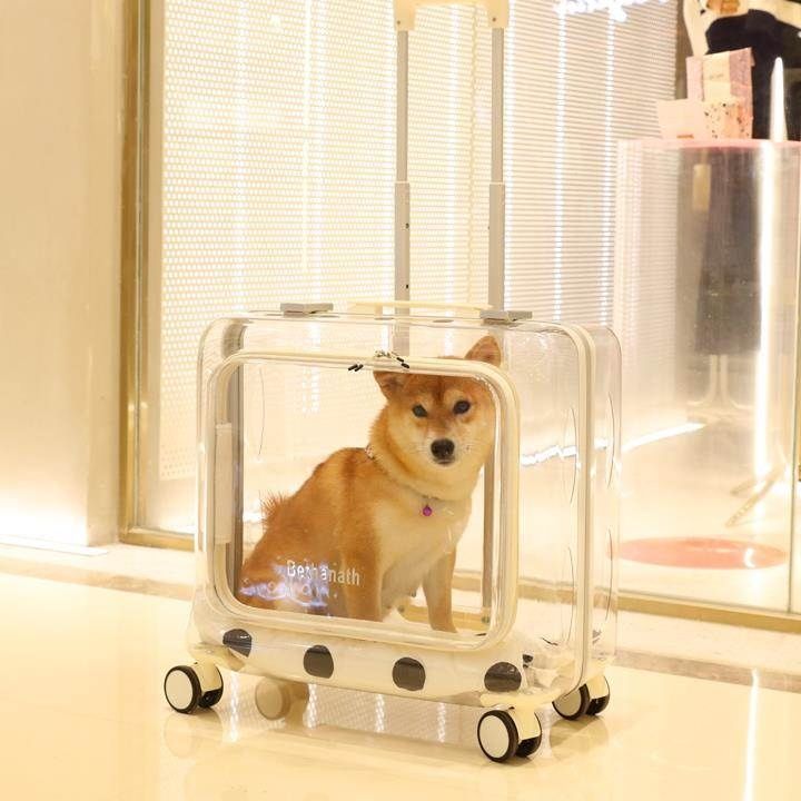 ペット キャリー 透明キャリー 旅行コンフォート
