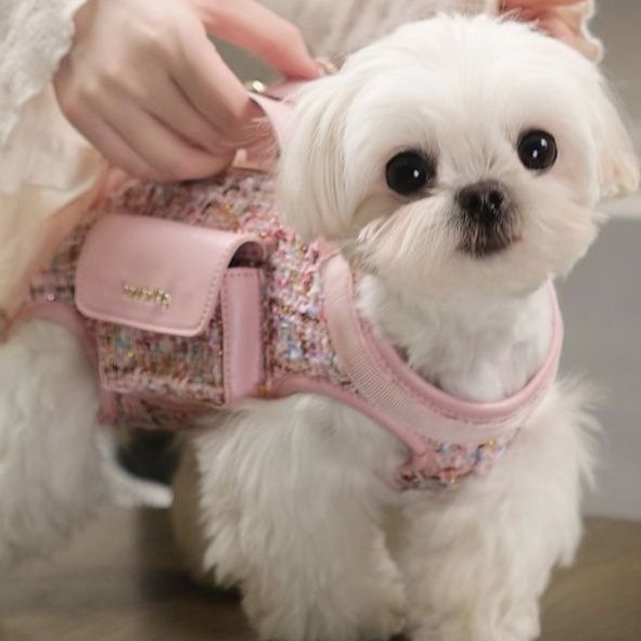ペット キャリー 小型犬用おしゃれ肩掛けキャリーバッグ
