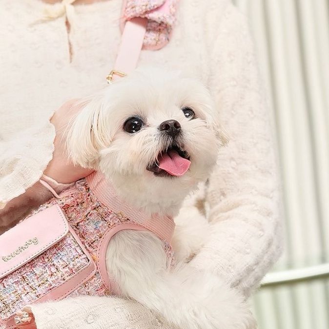 ペット キャリー 小型犬用おしゃれ肩掛けキャリーバッグ