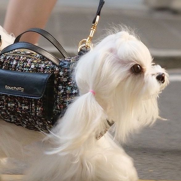 ペット キャリー 小型犬用おしゃれ肩掛けキャリーバッグ