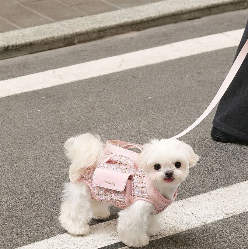 ペット キャリー 小型犬用おしゃれ肩掛けキャリーバッグ