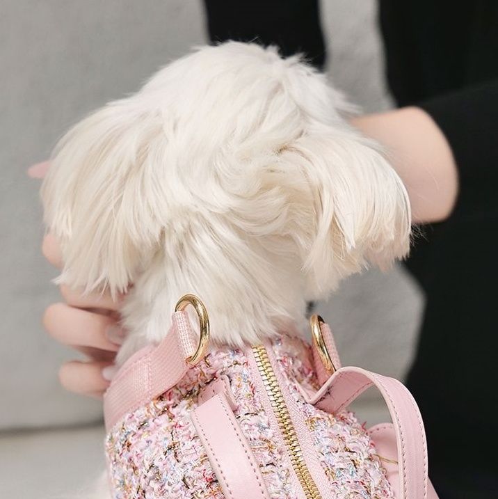 ペット キャリー 小型犬用おしゃれ肩掛けキャリーバッグ