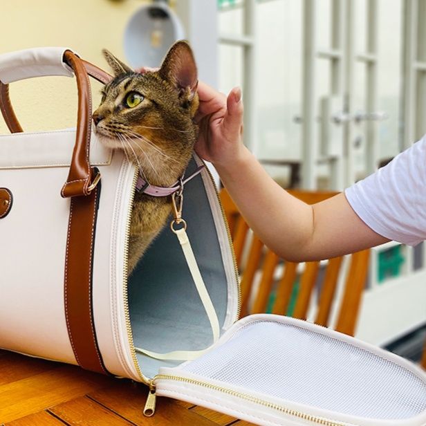 ペット キャリー 猫用シンプルデザインキャリーバッグ