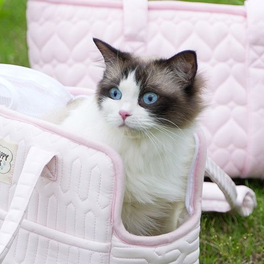 ペット キャリー やわらか安心 お出かけ猫バッグ