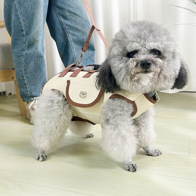 ペット キャリー くまさんポケット付き犬用キャリーバッグ
