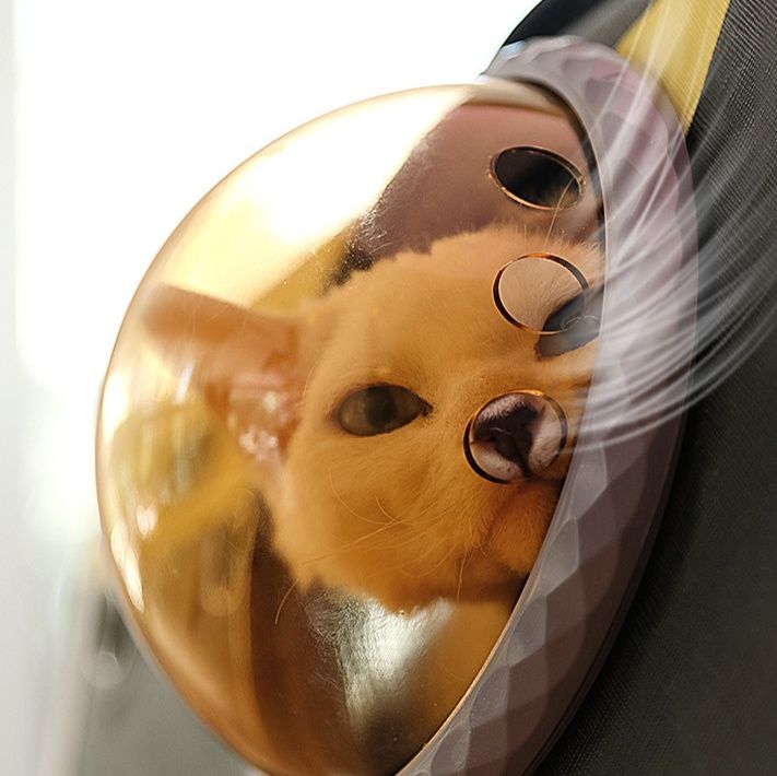 ペット キャリー 猫用宇宙飛行士風ペット窓付きバッグ
