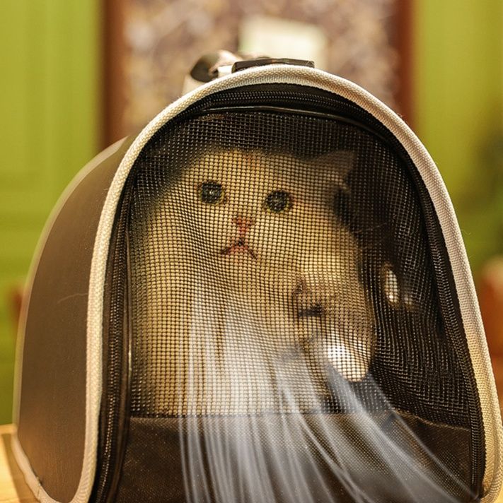 ペット キャリー 猫用宇宙飛行士風ペット窓付きバッグ
