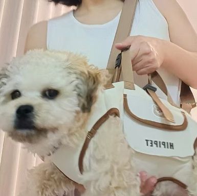 ペット キャリー 犬用前足出しリュック型ペットキャリー