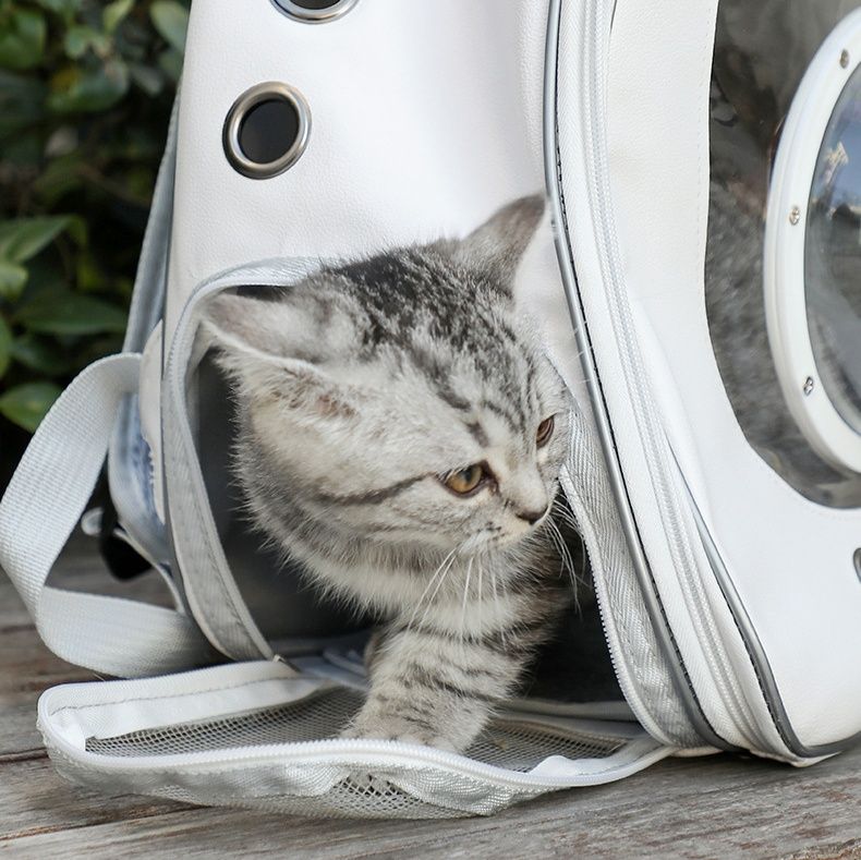 ペット キャリー 宇宙船風 猫用バックパックキャリー