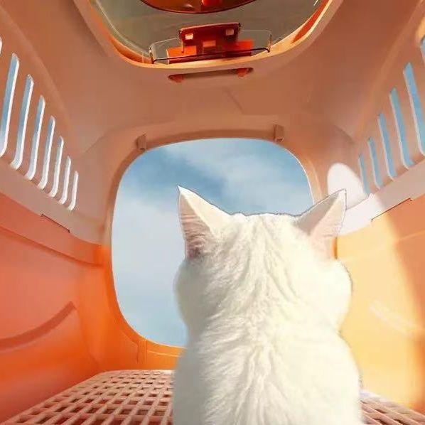 ペット キャリー 通気性抜群の猫専用航空箱
