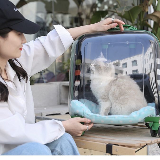 ペット キャリー パノラマビュー猫用キャリーケース