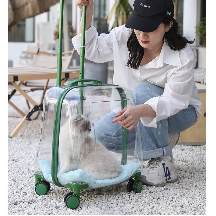ペット キャリー パノラマビュー猫用キャリーケース