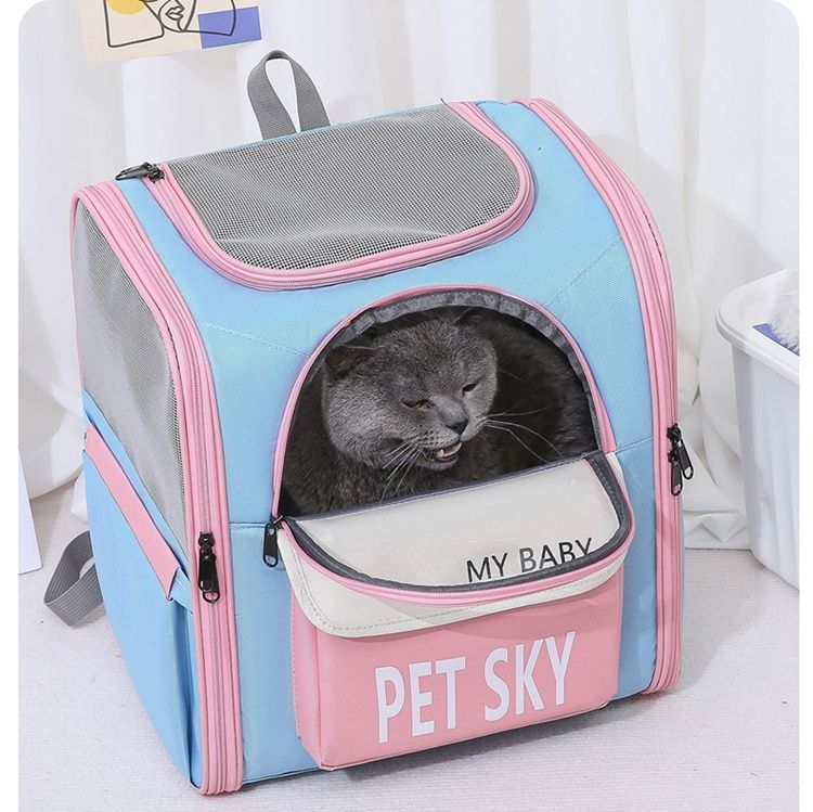 https://fulmo-img-server.com/pettokyarii/1748853570467_v76r1uv7_wd05k4hl.jpeg