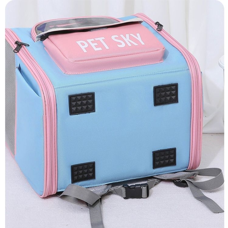https://fulmo-img-server.com/pettokyarii/1748853616115_gfpjewo7_89gsbbtp.jpeg