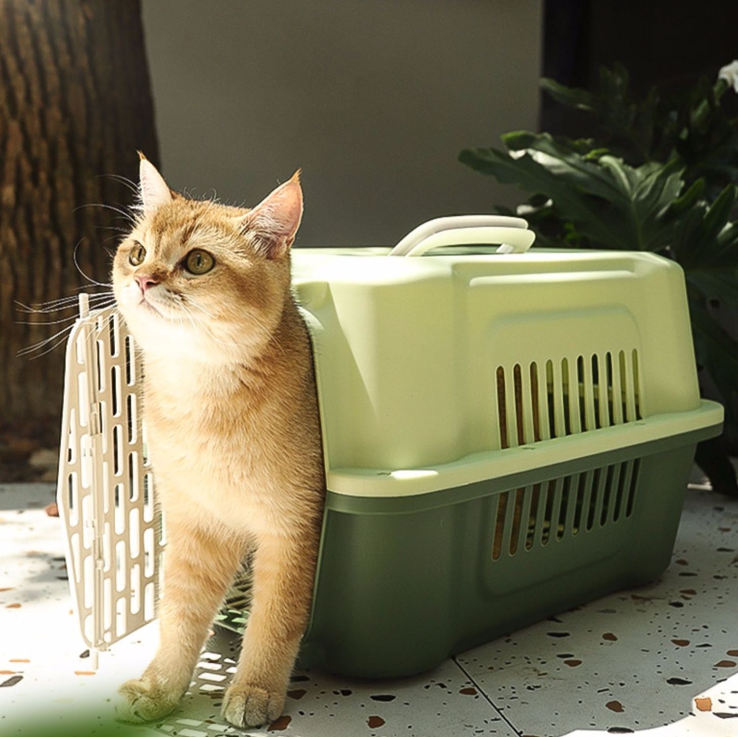 ペット キャリー やすらぎ空間 猫の旅行ハウス