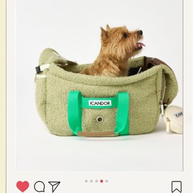 ペット キャリー 犬用二重開口お散歩トートバッグ