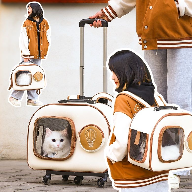 ペット キャリー 旅行家の愛猫キャリーボックス