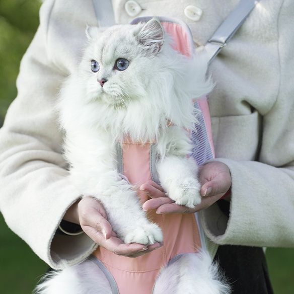 ペット キャリー猫用 両手解放メッシュ抱っこキャリー