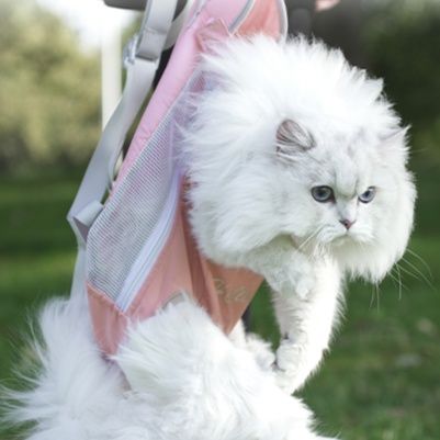 ペット キャリー猫用 両手解放メッシュ抱っこキャリー