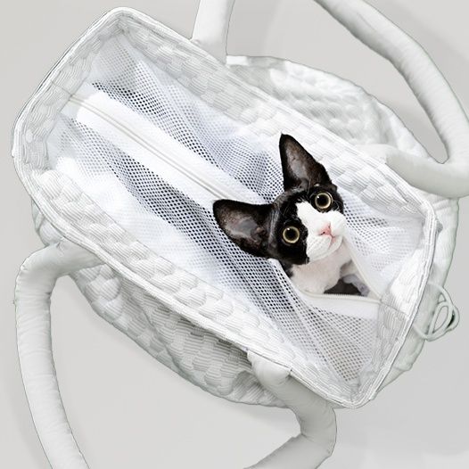 ペット キャリー 通気性抜群お出かけ猫トートバッグ