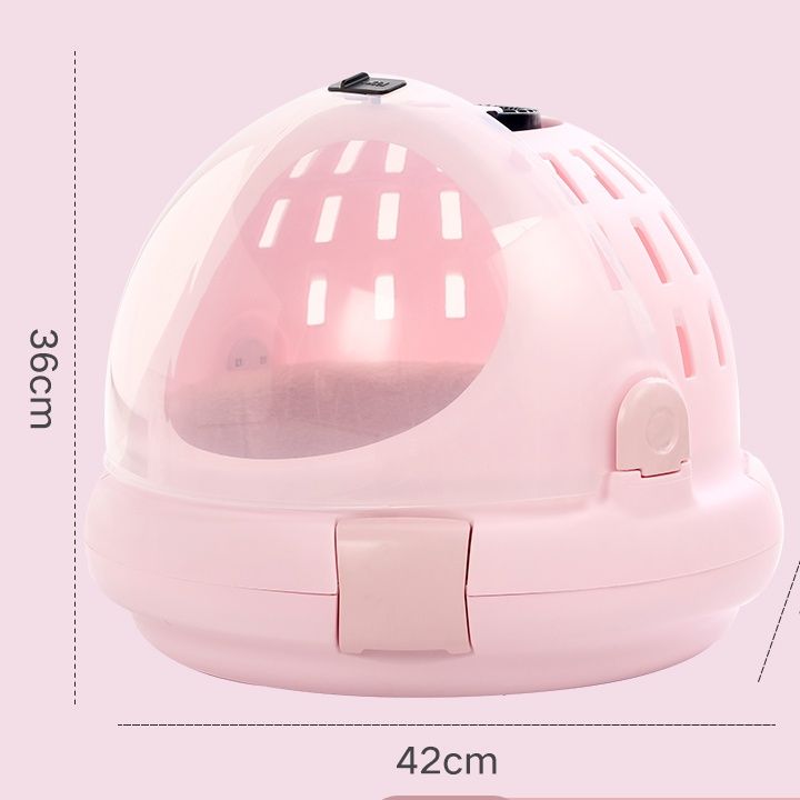 https://fulmo-img-server.com/pettokyarii/1749016428440_89zk880p_7veq0066.jpeg