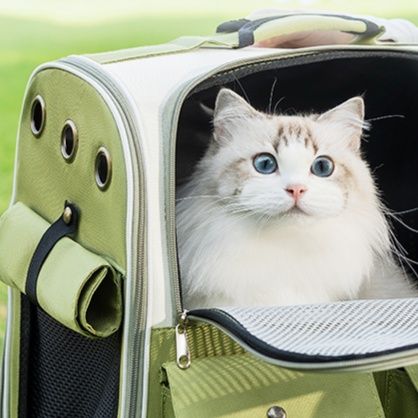 ペット キャリー 猫用透明メッシュリュックキャリー
