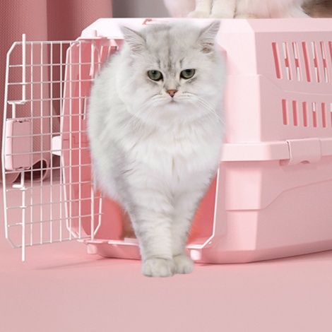ペット キャリー 猫用ゆったり快適ペットハウス