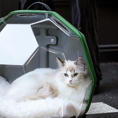 ペット キャリー 猫用多角形キャリーケース