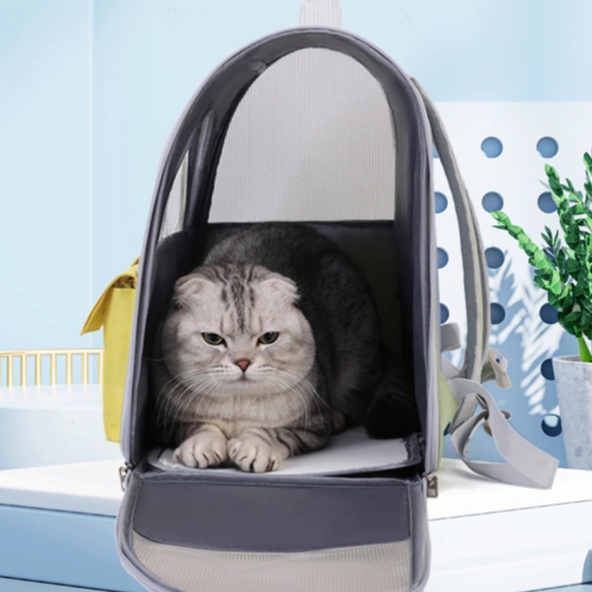 ペット キャリー リュックタイプ防水猫用キャリー