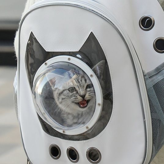 ペット キャリー 宇宙船風猫ちゃんリュック