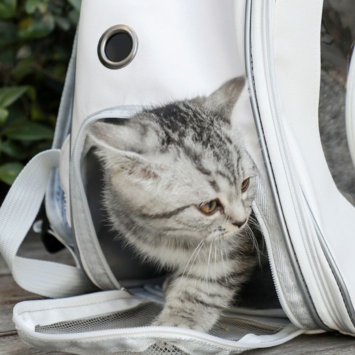 ペット キャリー 宇宙船風猫ちゃんリュック