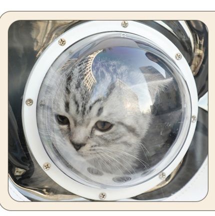 ペット キャリー 宇宙船風猫ちゃんリュック