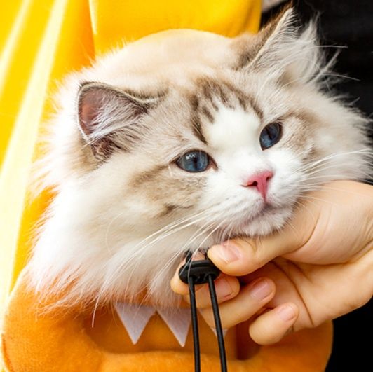 ペット キャリー おでかけ猫ちゃんトートバッグ