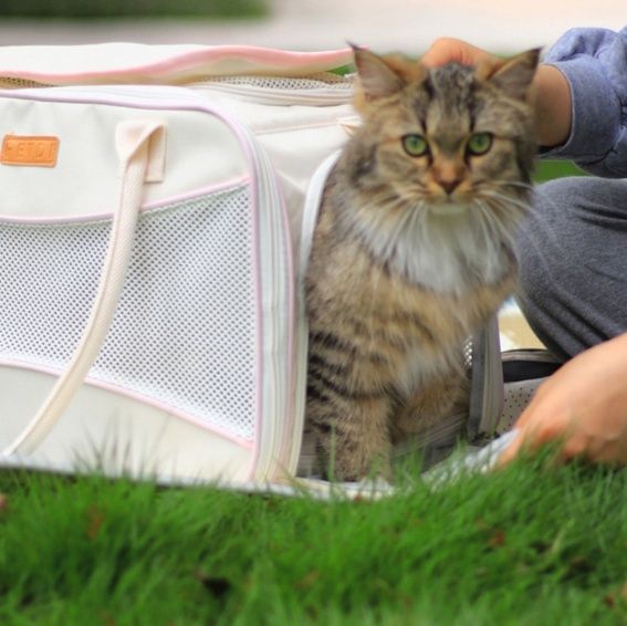 ペット キャリー 猫用通気性抜群 お出かけバッグ