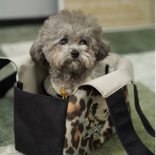 ペット キャリー 犬用アーティスト風チワワ肩掛けバッグ