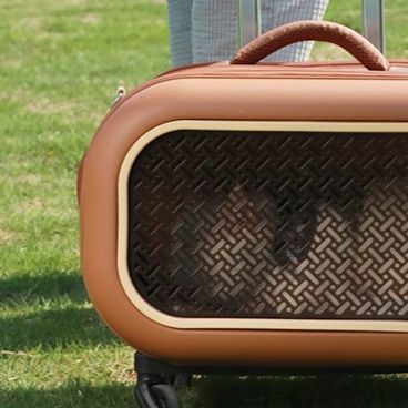 ペット キャリー 猫用多機能快適ペットキャリーバッグ