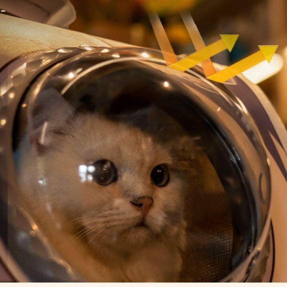 ペット キャリー 猫用宇宙船風安心ペットキャリー