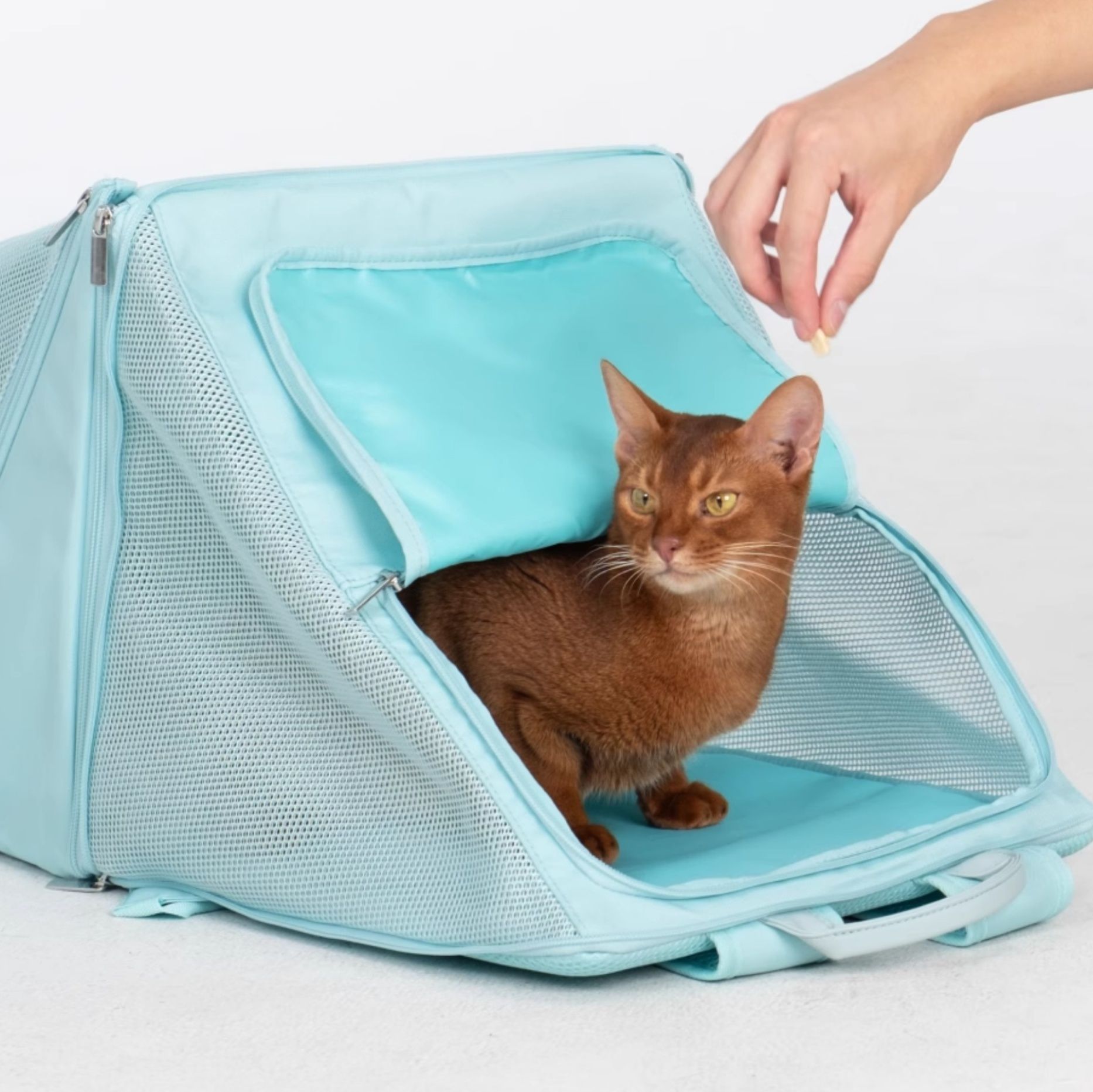ペット キャリー 多機能リュック型猫用キャリー