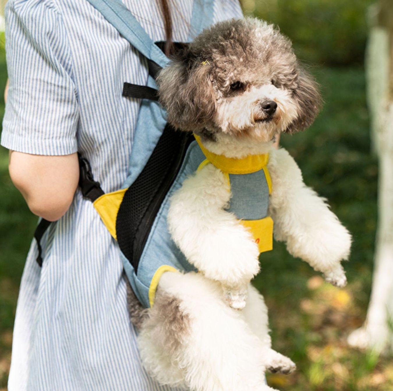 ペット キャリー 犬用お散歩らくらく抱っこバッグ