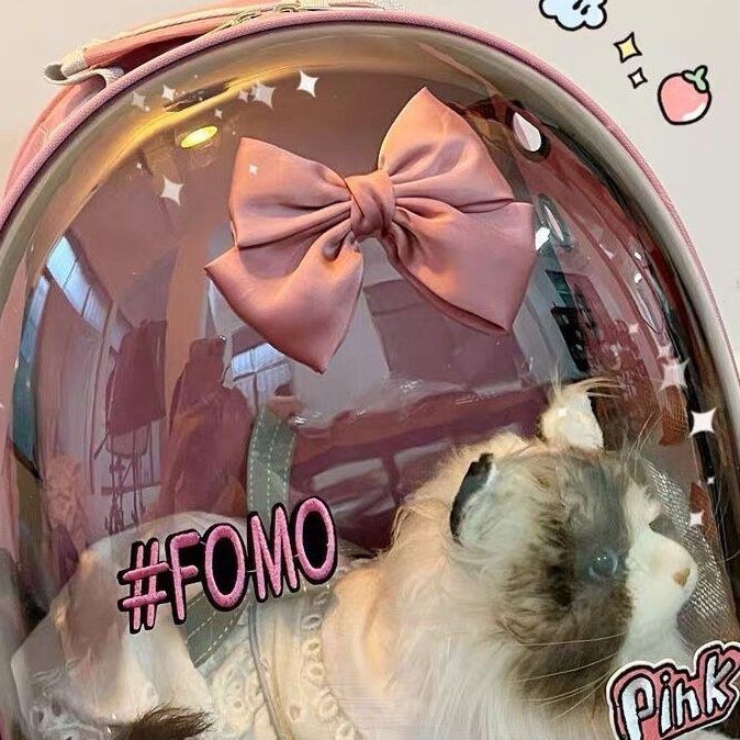 ペット キャリー 宇宙飛行士風透明猫バッグ