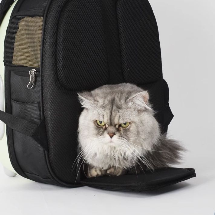 ペット キャリー 宇宙船スタイル猫用おでかけバッグ