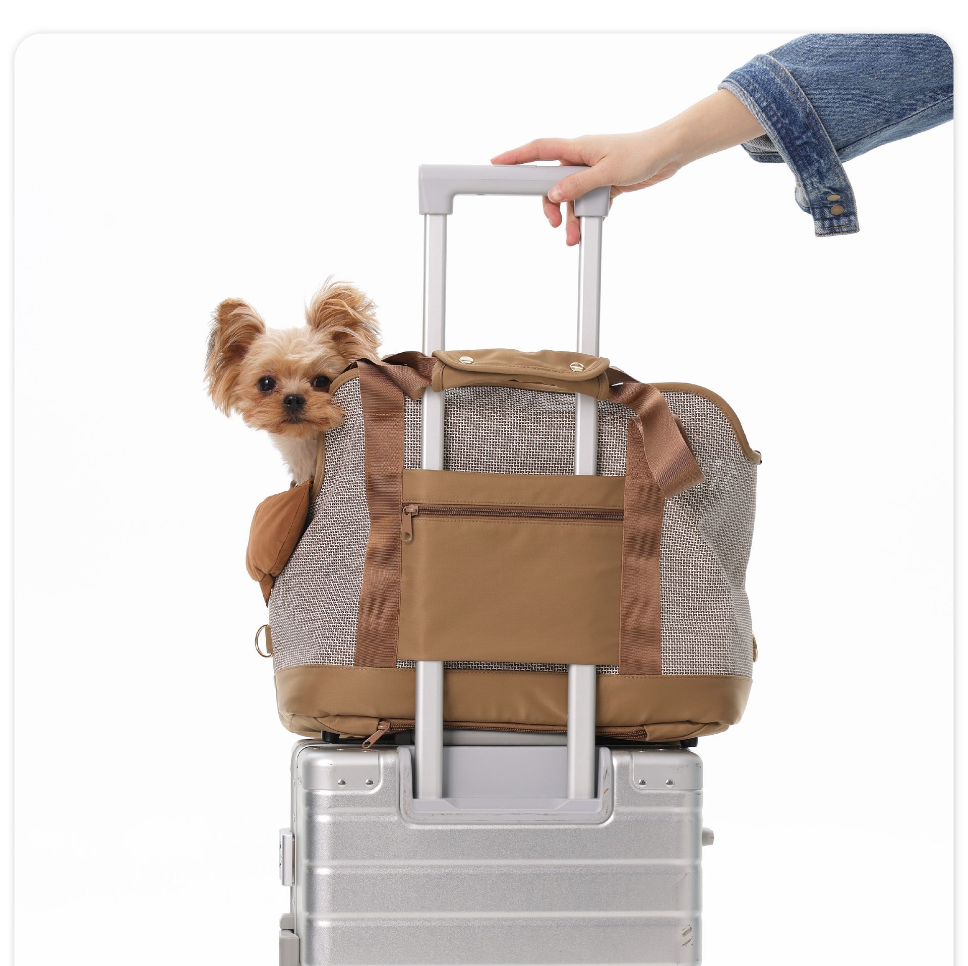 ペット キャリー 通気性抜群の小型犬用トートキャリー