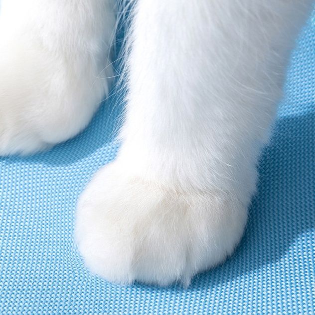 ペット キャリー 猫用透明窓付きリュック型キャリー