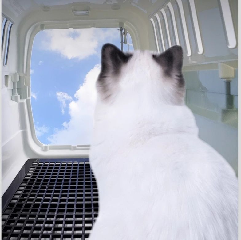 ペット キャリー 猫用四面通風ペットキャリー