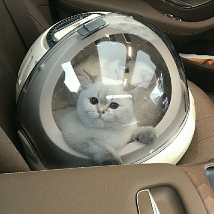 ペット キャリー 猫用宇宙船風ペットカプセルキャリー