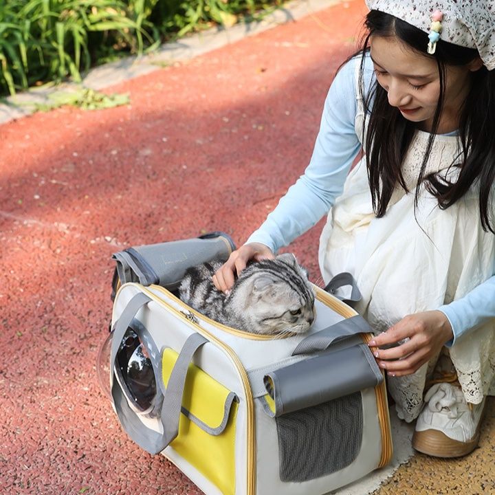 ペット キャリー 猫用宇宙船風アイポートキャリー