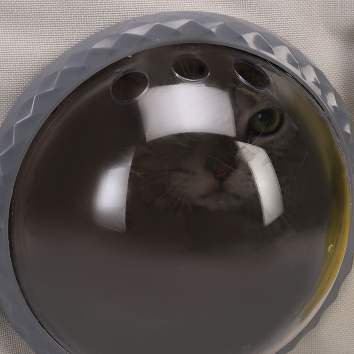ペット キャリー 猫用宇宙船風アイポートキャリー