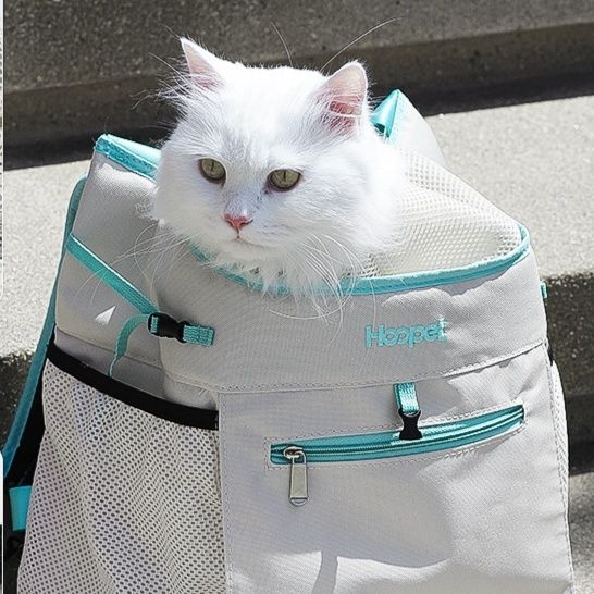 ペット キャリー 前抱き式 猫用通気リュック