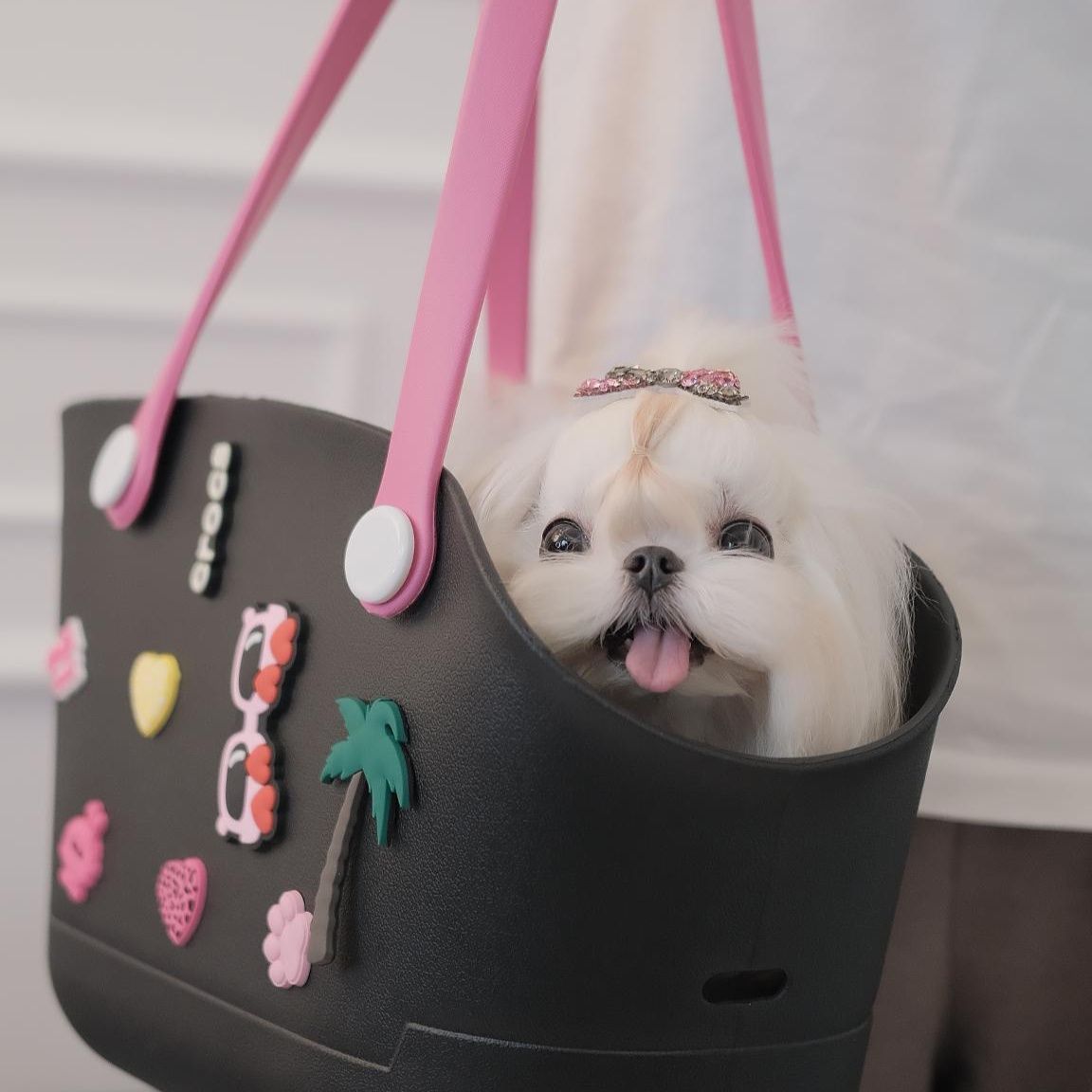 ペット キャリー 犬用デコレーション付きバッグ型ペットキャリー