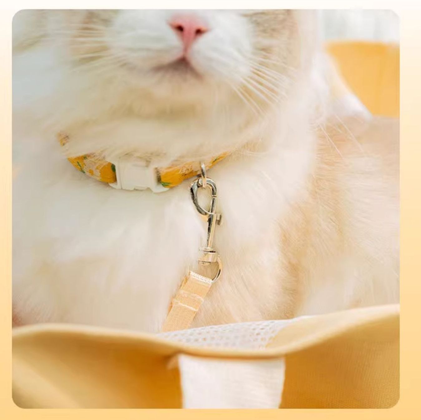ペット キャリー 猫用おでかけバッグ